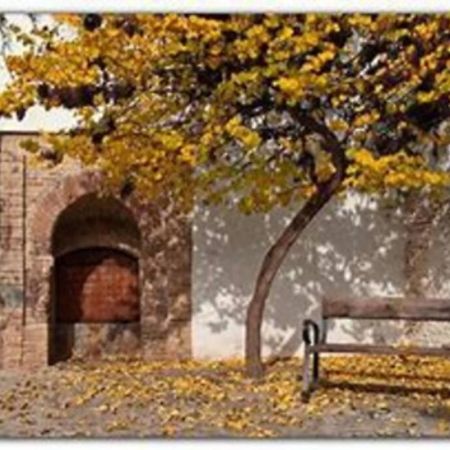 Lovely Apartment In The Centre Wifi Granada Exterior foto