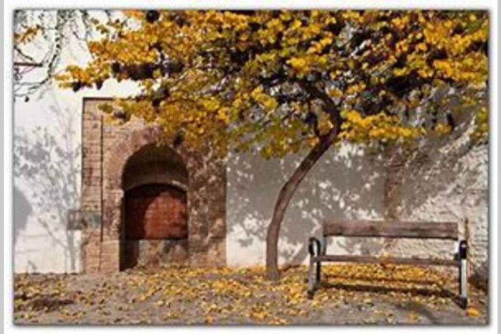 Lovely Apartment In The Centre Wifi Granada Exterior foto